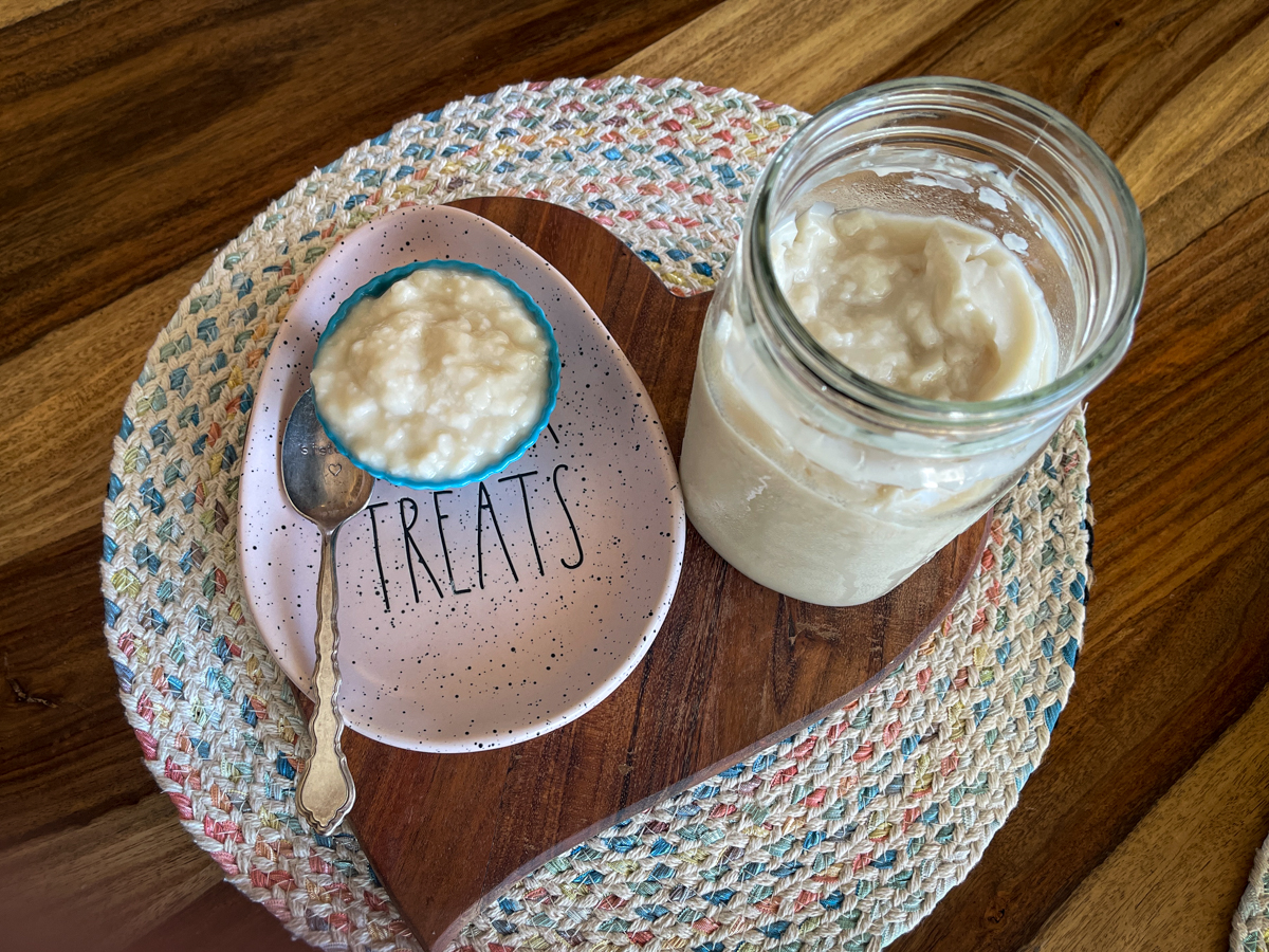 L reuteri Homemade oat milk yogurt3