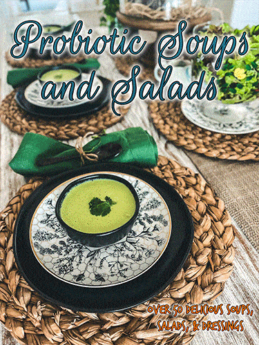 Probiotic-Soups-&-Salads-2023