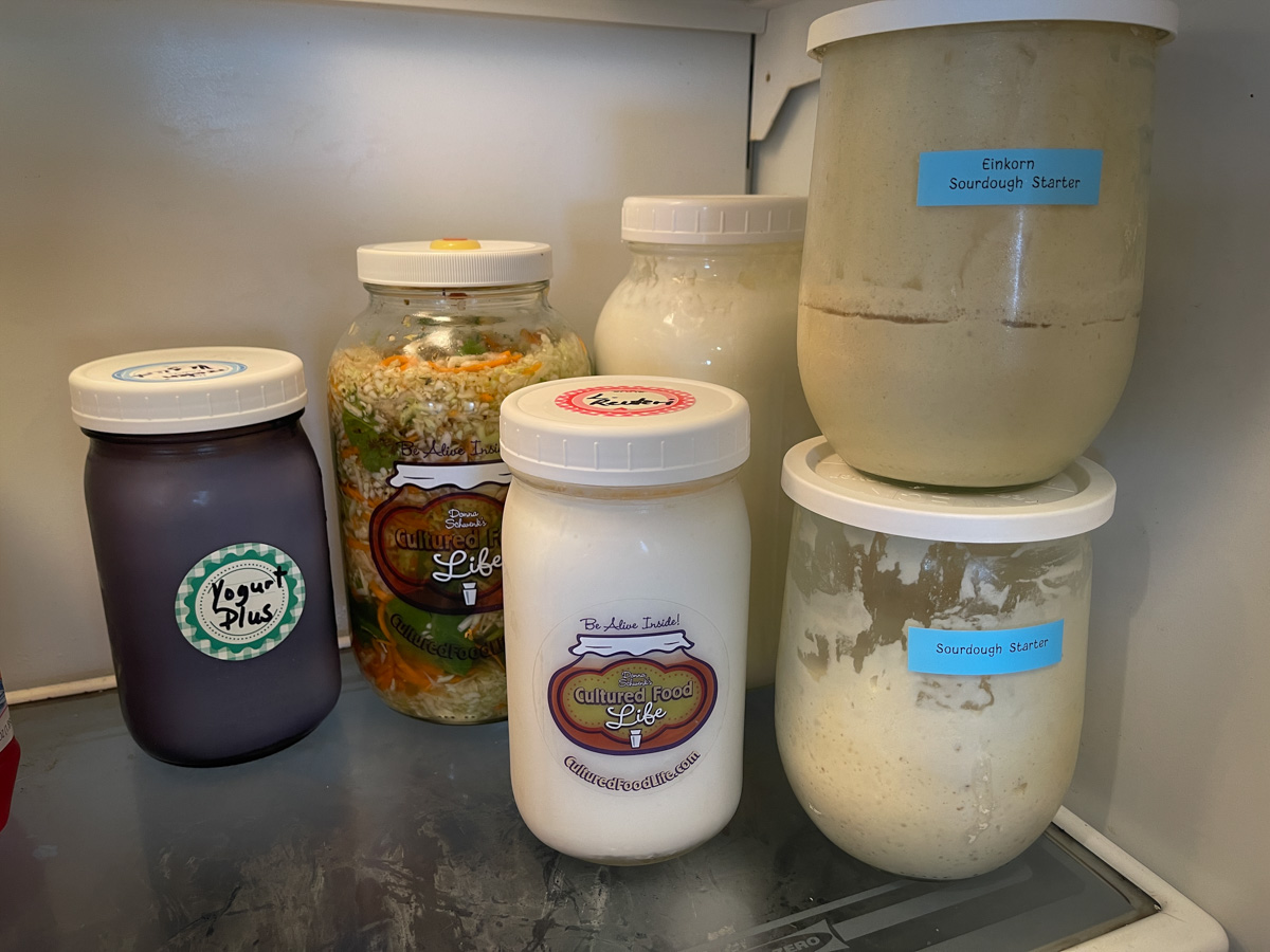 cultures refrigerated cultures refrigerated