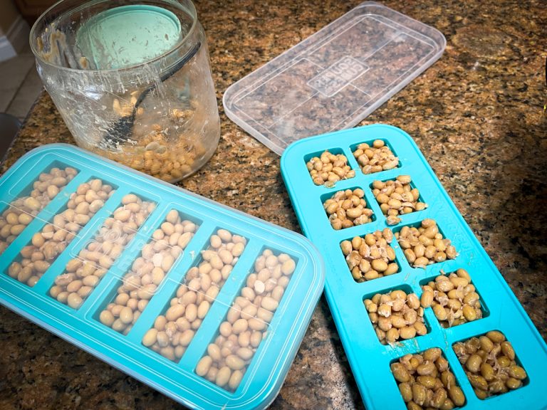 Fermented Natto - Cultured Food Life