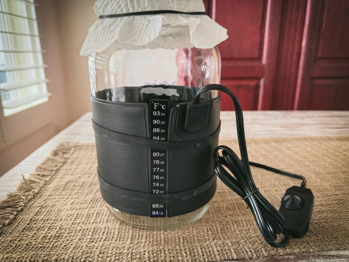 Fermentation Belt - Image 2