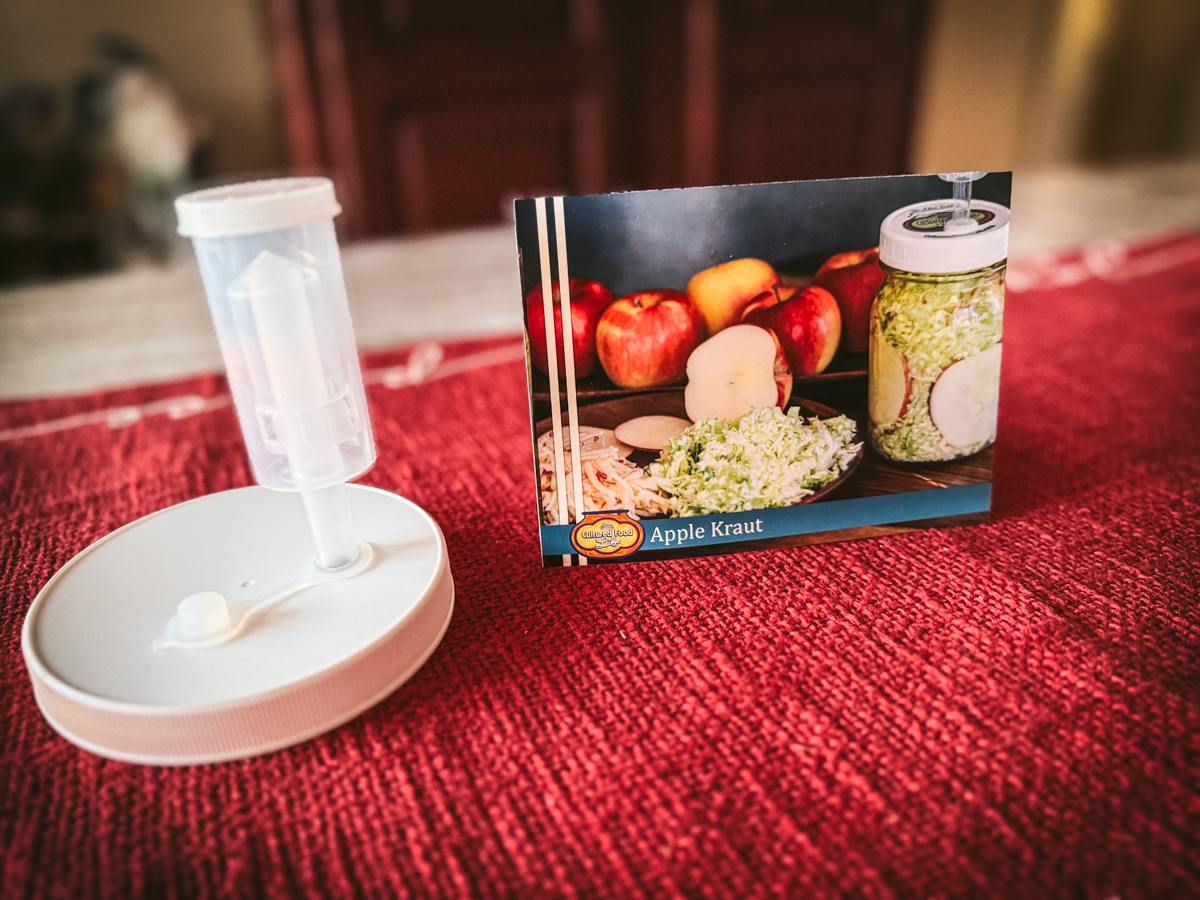 Airlock Lid - Image 4