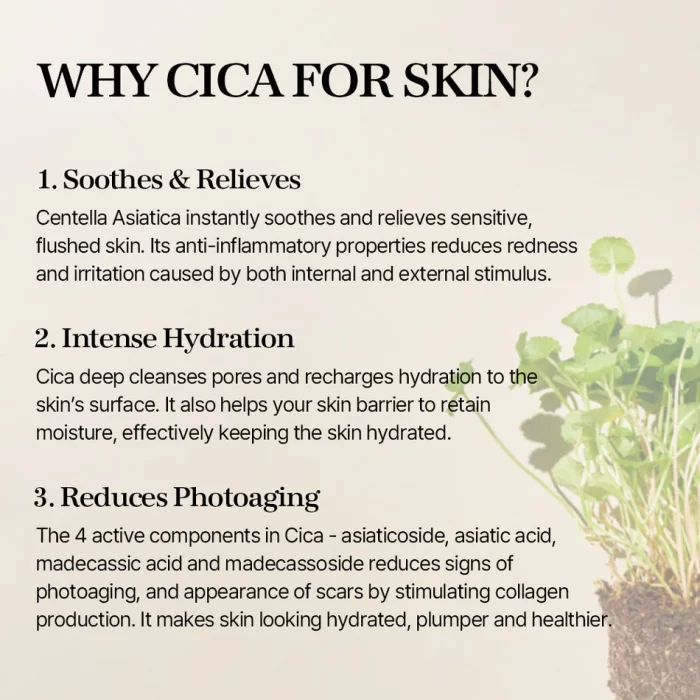mixsoon Soondy Centella Asiatica Essence 100ml - Image 2
