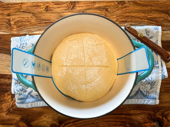 Silicone Sling for Sourdough Bread - Image 7
