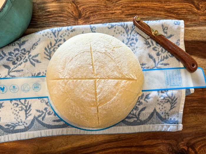 Silicone Sling for Sourdough Bread - Image 6