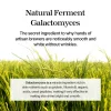 mixsoon Galactomyces Ferment Essence - Image 3