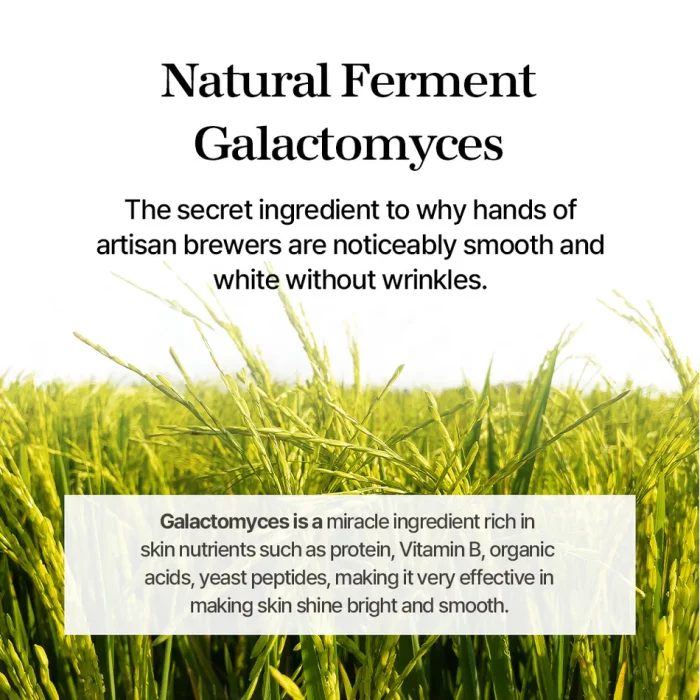 mixsoon Galactomyces Ferment Essence - Image 3