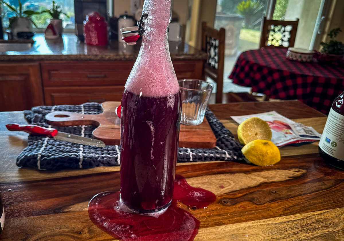 Which is Better – Water Kefir, Milk Kefir or Kefir Soda? - Cultured ...