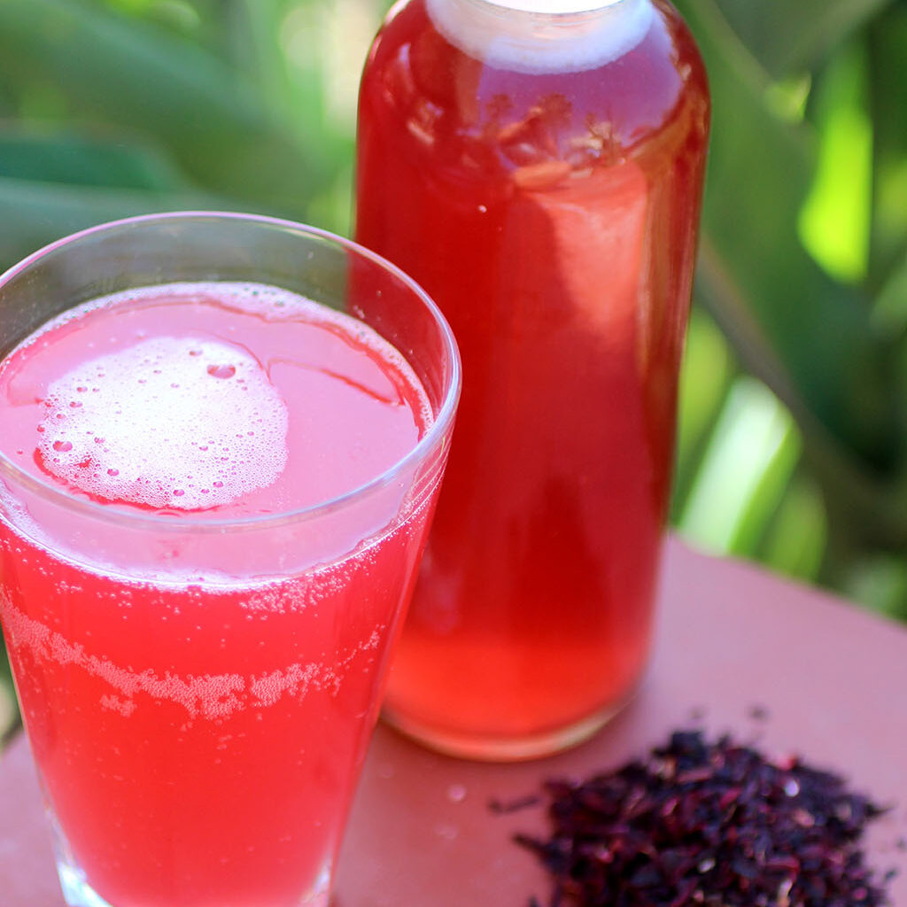 Hibiscus Kombucha