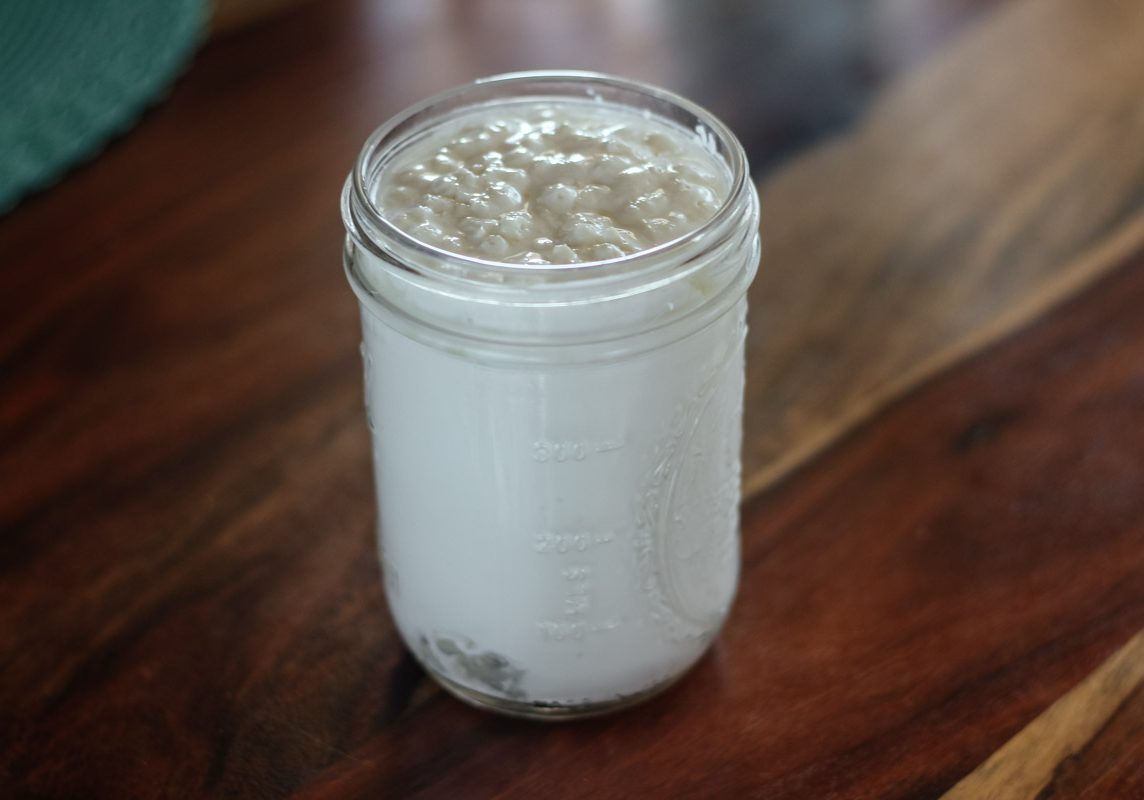 Kefir Grains in a jar