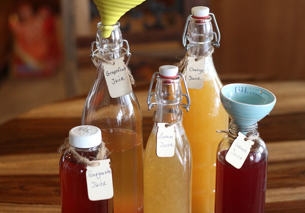 Fruit Flavored Kombucha