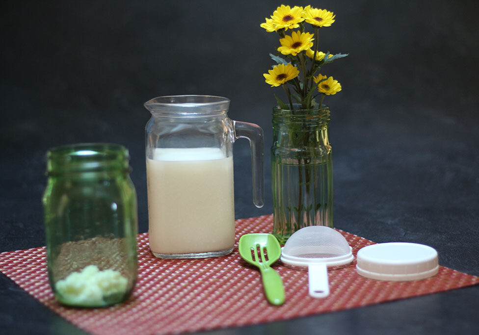 Making Kefir with Live Grains