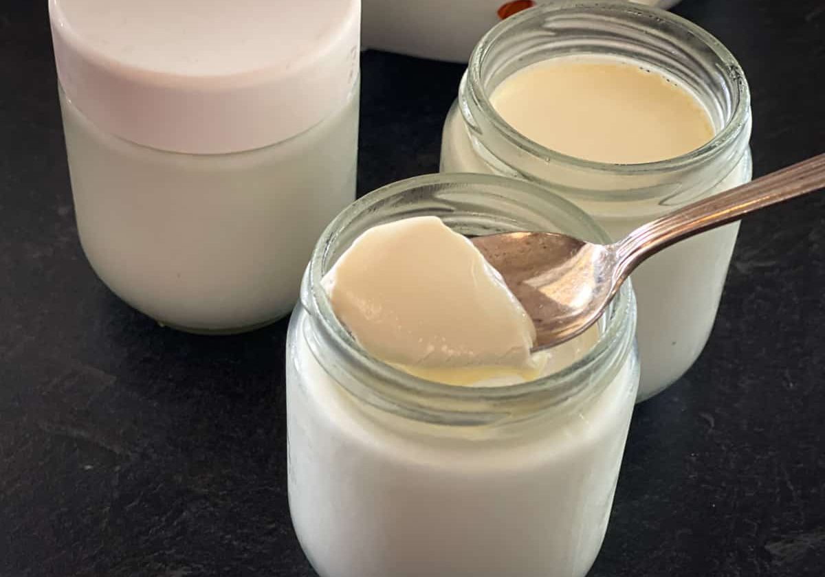 Raw milk yogurt.4