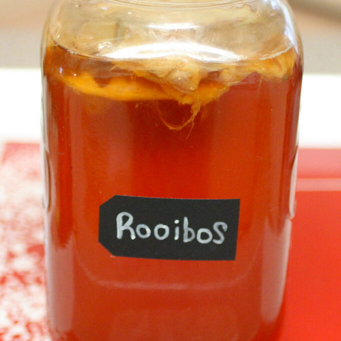 Rooibos Kombucha