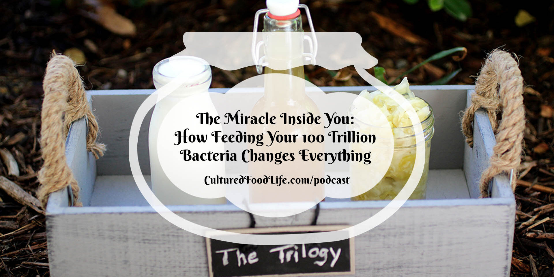 How to Make Kefir Mousse Full