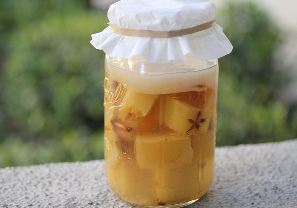 Kombucha Apple Scrap Vinegar