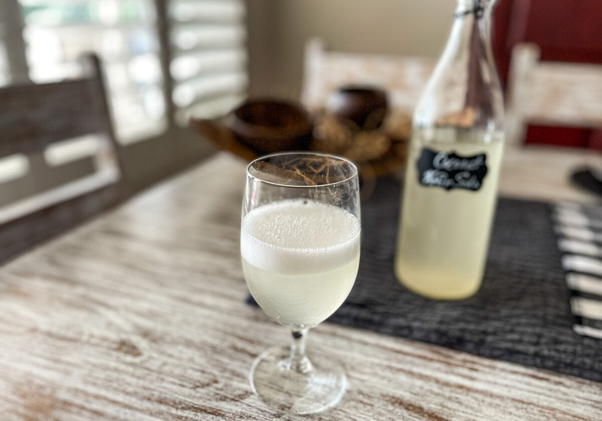 coconutkefir soda 6