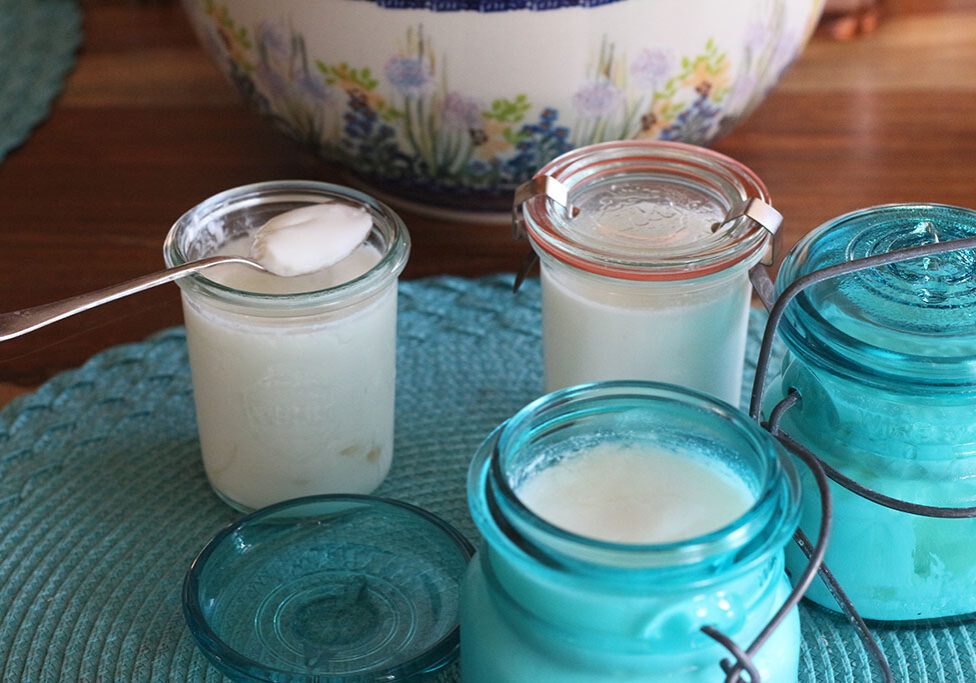 Easy Kefir Pots