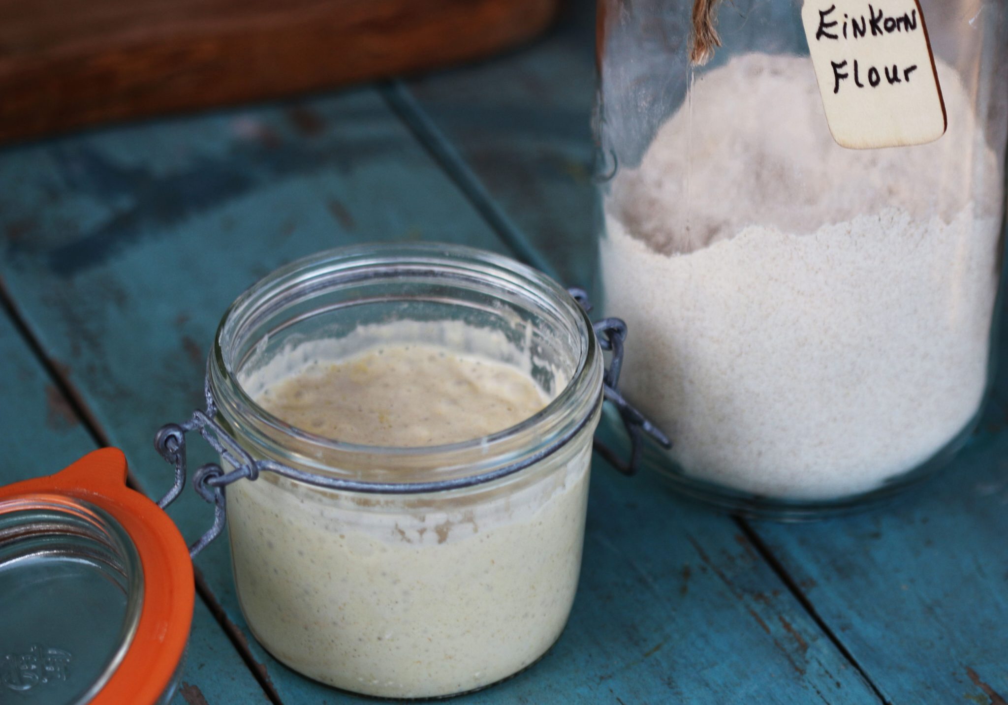 einkorn sourdough starter5