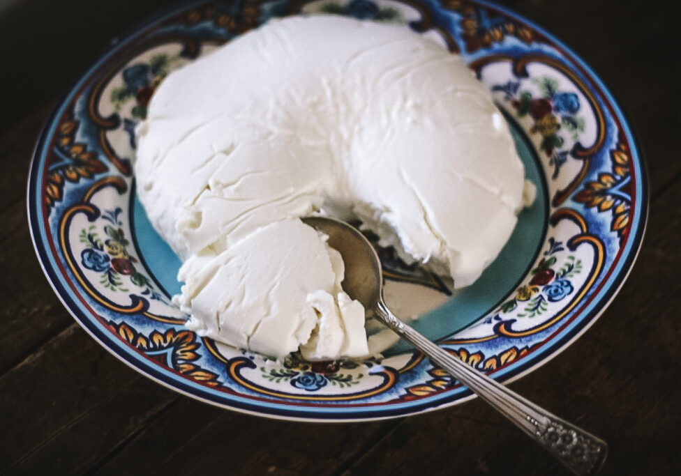 kefir-cheese5-1024x683-2