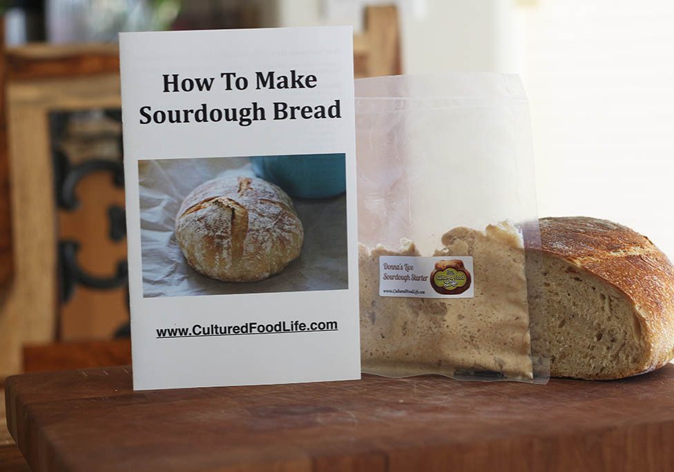 sourdough bread starter