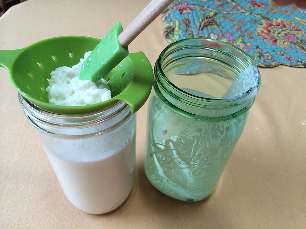 How to make Kefir Cultured Food Life
